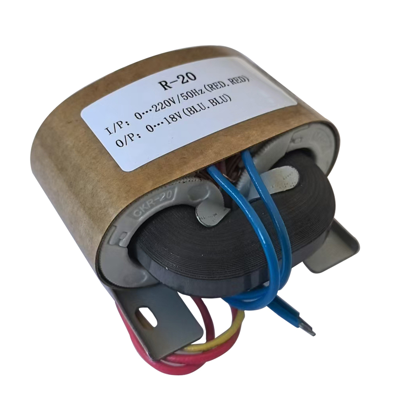 Transformateur de type Trtdy-R R-R-Type Power Power 5W-3000W