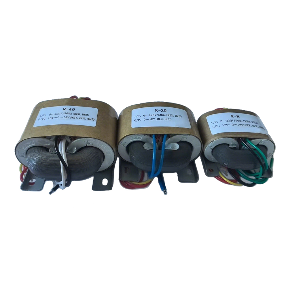 Transformateur de type Trtdy-R R-R-Type Power Power 5W-3000W
