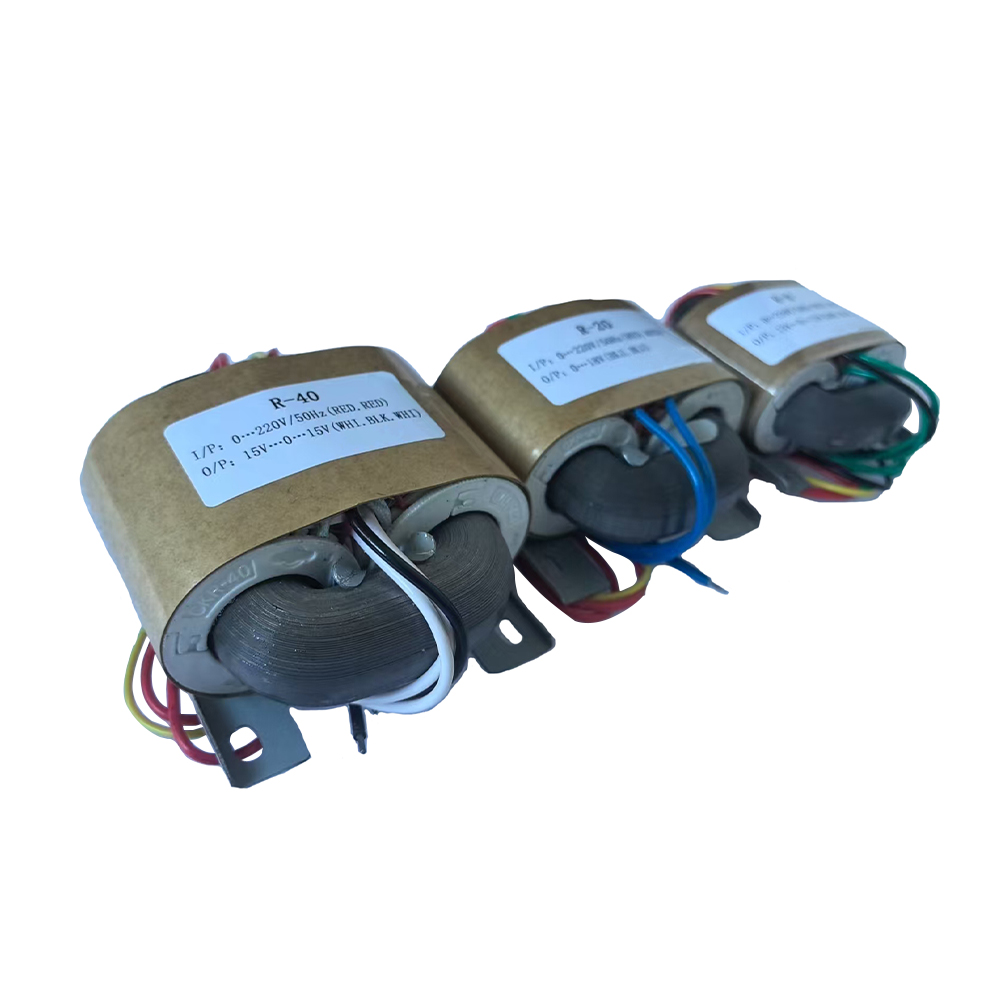 Transformateur de type Trtdy-R R-R-Type Power Power 5W-3000W