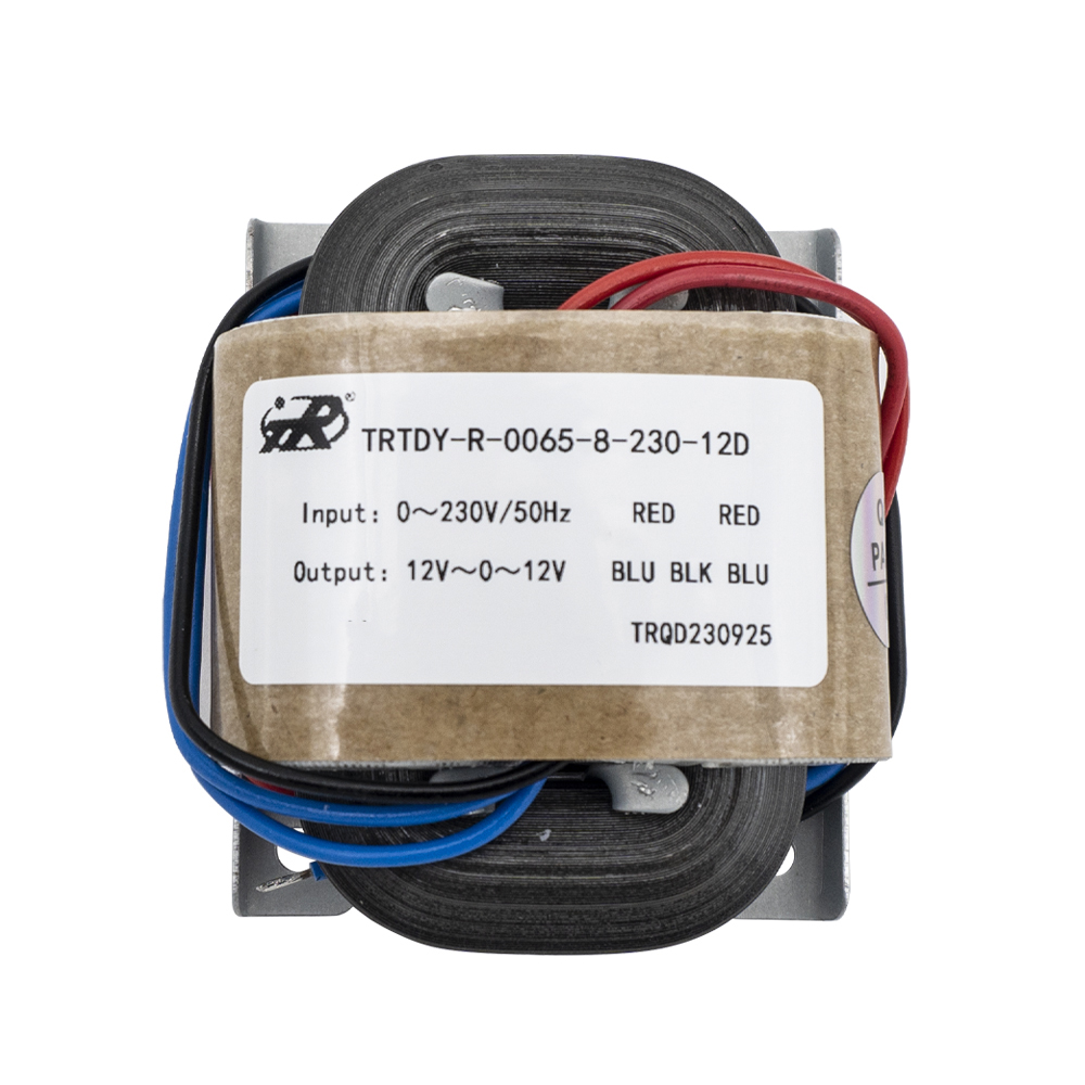 Transformateur de type Trtdy-R R-R-Type Power Power 5W-3000W