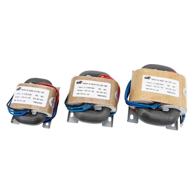 Transformateur de type Trtdy-R R-R-Type Power Power 5W-3000W